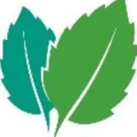 Mint Catering